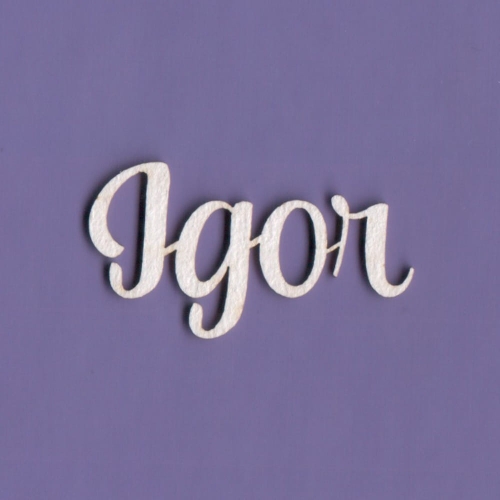 Igor - A2.jpg
