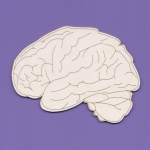 1620d Tekturka duża - Mózg - G5 