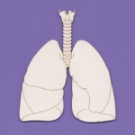 1621 Tekturka duża -Płuca- G6