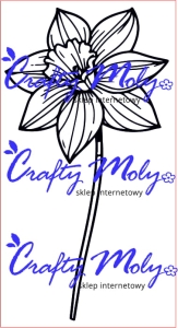 220 Stempel - Narcyz