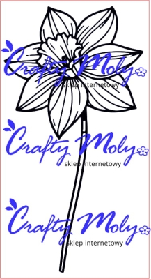 220 Stempel - Narcyz