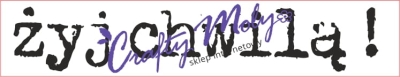 223 Stempel - Żyj chwilą !