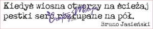 229 Stempel - Kiedys wiosna -  cytat