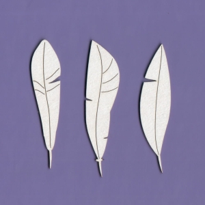 1148 Tekturka - 3 piórka - zestaw   - G5