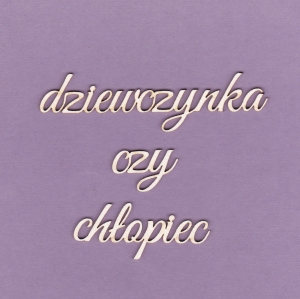 309 Tekturka napis - dziewczynka czy chłopiec - G3