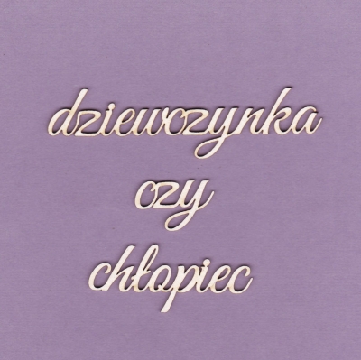 309 Tekturka napis - dziewczynka czy chłopiec - G3