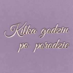 519 Tekturka napis - Kilka godzin po porodzie - G3