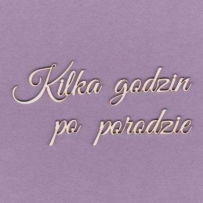 519 Tekturka napis - Kilka godzin po porodzie - G3