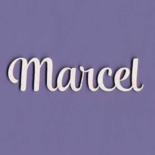 Marcel - A2.jpg