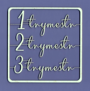 344 Tekturka napis - Trymestry - G8