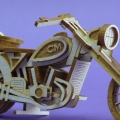 WYK1350.....JPG