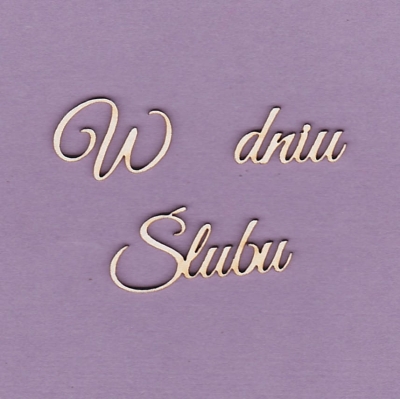 210x Tekturka napis - W dniu Ślubu - 2 szt. - G4
