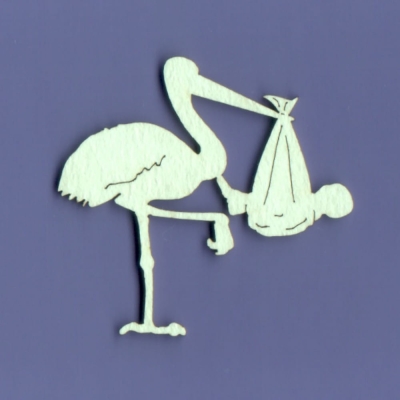 293m Tekturka - Bociek mały - G2