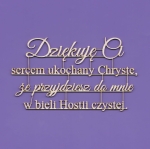 095 Tekturka - Napis - Dziękuję Ci sercem ukochany Chryste .... G12