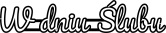J007 - W dniu Ślubu - NAPIS.jpg