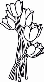J101 - Tulipany duże.jpg
