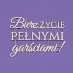 149 Tekturka - Napis - Bierz życie pełnymi garściami !   G08