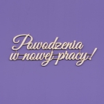 236 Tekturka - Napis Powodzenia w nowej pracy...   -  G08