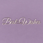 817 Tekturka napis - Best Wishes - G2