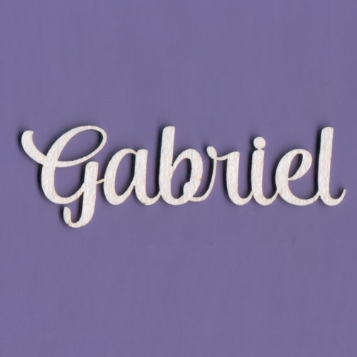 Gabriel - A2.jpg