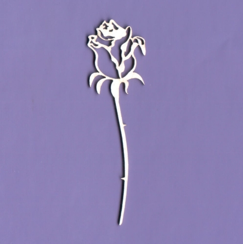 WYK1236.jpg
