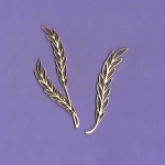 742A Tekturka - Kłosy zestaw G5