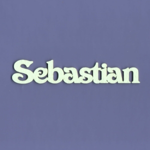 Sebastian A1 - G2