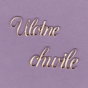 146 Tekturka napis - Ulotne Chwile 1 - 2 szt.  - G4