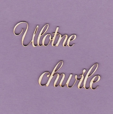 146 Tekturka napis - Ulotne Chwile 1 - 2 szt.  - G4