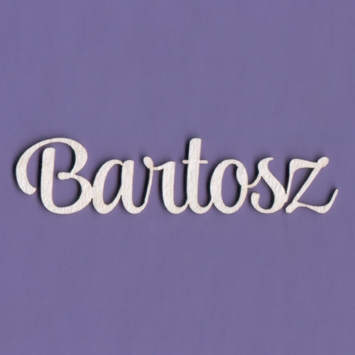 Bartosz - A2.jpg
