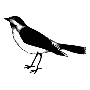 092 Stempel - Ptak