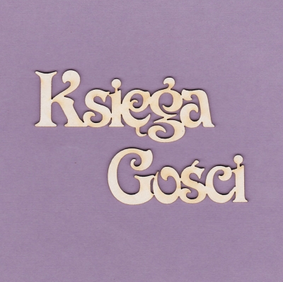 313 Księga Gości 3 - G4