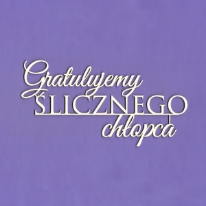 1340 Tekturka napis - Gratulujemy ślicznego chłopca G5