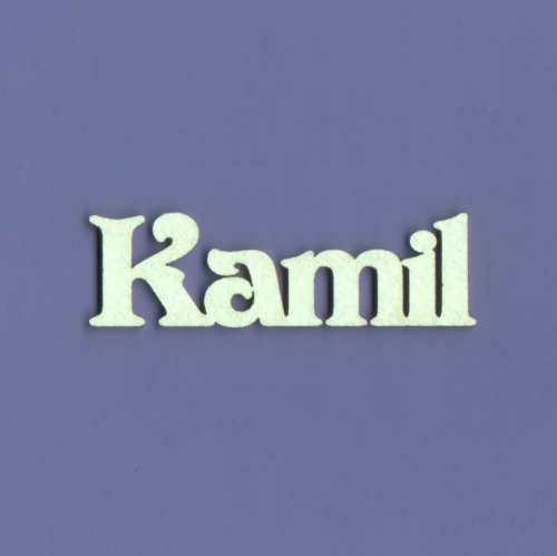 Kamil.jpg