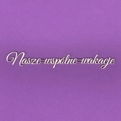 897 Tekturka napis - Nasze wspólne wakacje - G3